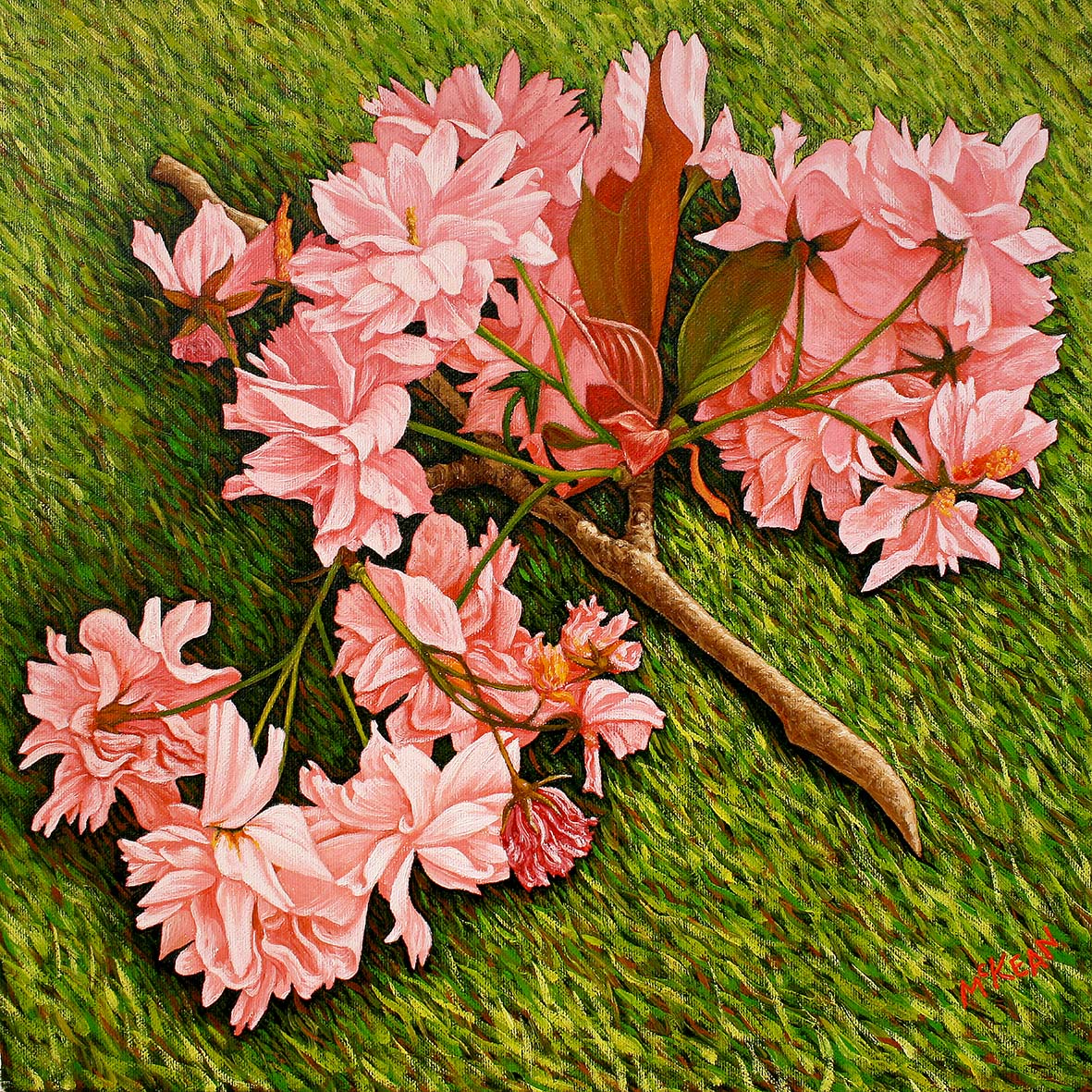 Fallen blossom